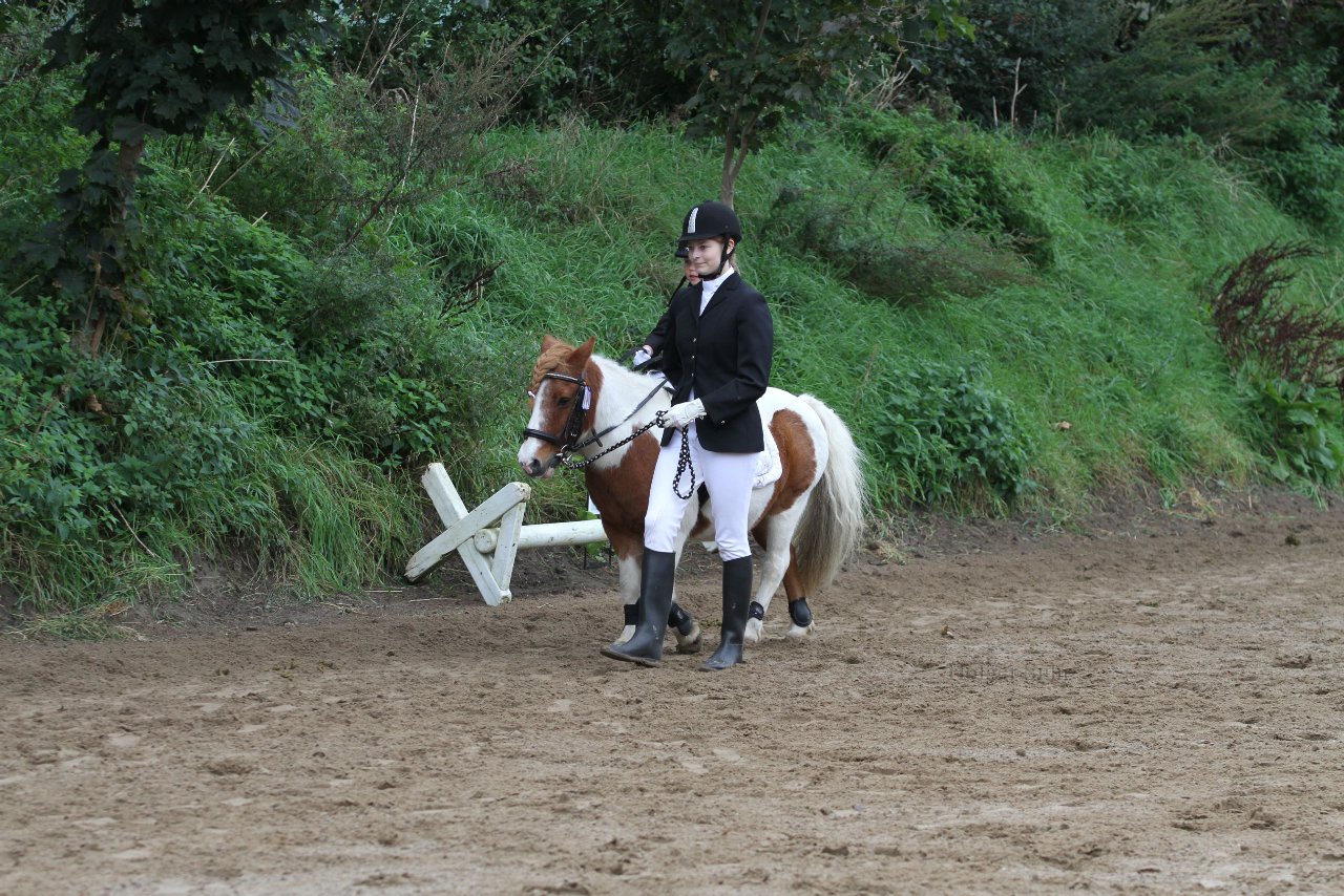 Bild 675 - WBO-Turnier am 18.9.11